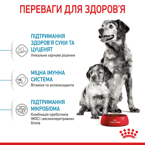 Сухий корм для новонароджених собак середніх порід  ROYAL CANIN MEDIUM STARTER (домашня птиця), 1 кг